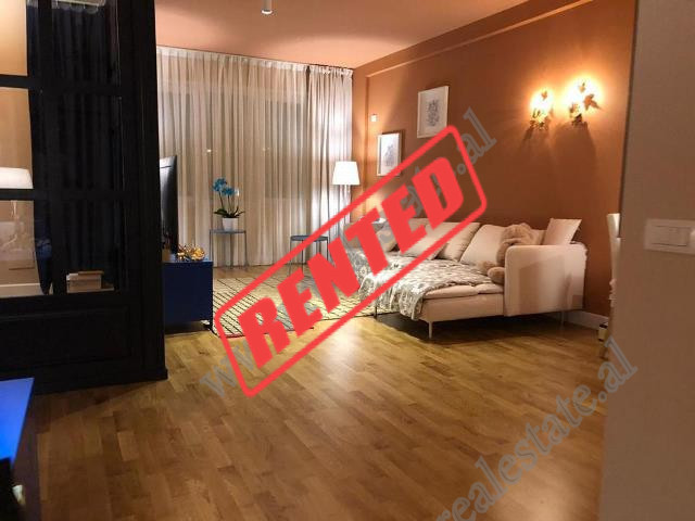 Two bedroom apartment for rent at the Dry Lake in Tirana, Albania